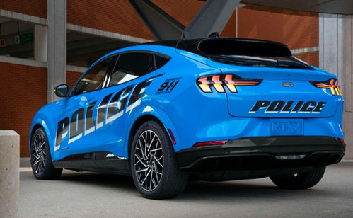 雙電機 四驅,零百加速僅5秒,肌肉線條 警車造型,真霸氣 汽車 網